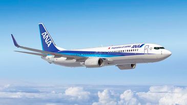 Boeing 737-800 NG ANA