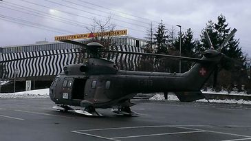 Cougar Schafisheim Aargau