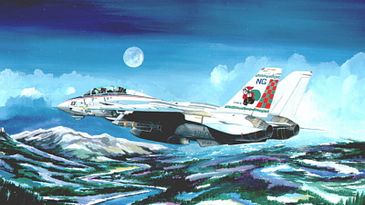 Tomcat_400x263