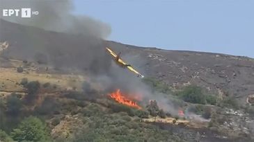 Fire Fighting Aircraft Crash 1