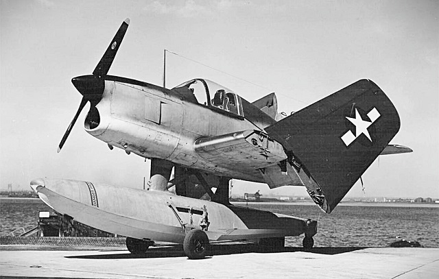 Edo Xose 1 Pict6 Klapp Wing.jpg