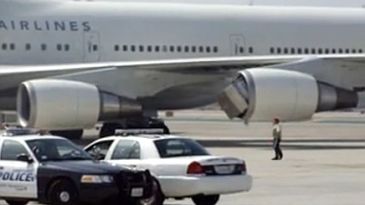 JAL_Container_400x263