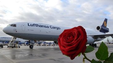 Lufthansa_Cargo_Rose_400