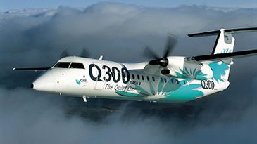 Q300_400x263