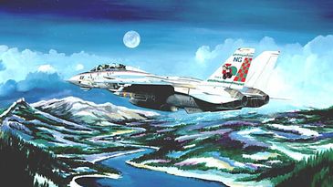 F-14 Tomcat Aviation Art Productions