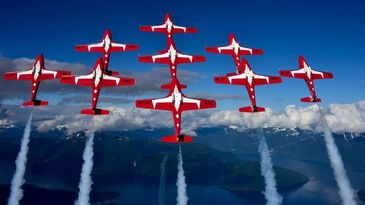 Snowbirds